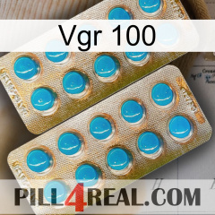 Vgr 100 new08